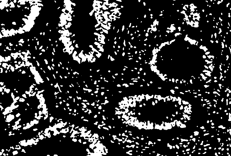 ../_images/blobs2_binary.png